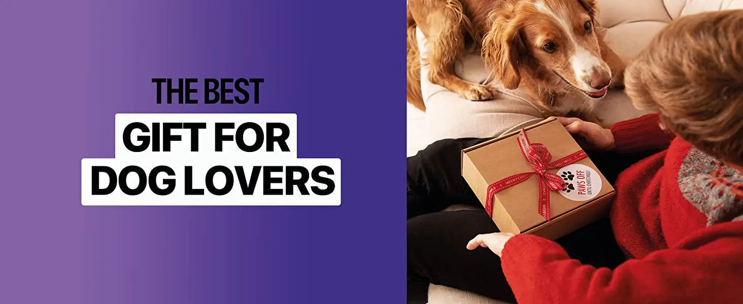 Ultrasonic Dog Trainer & Repeller โ Effective & Safe