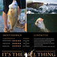 Pocket-Size Telescopic Fishing Rod – Portable & Lightweight